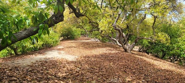 16 Camaron, Temecula