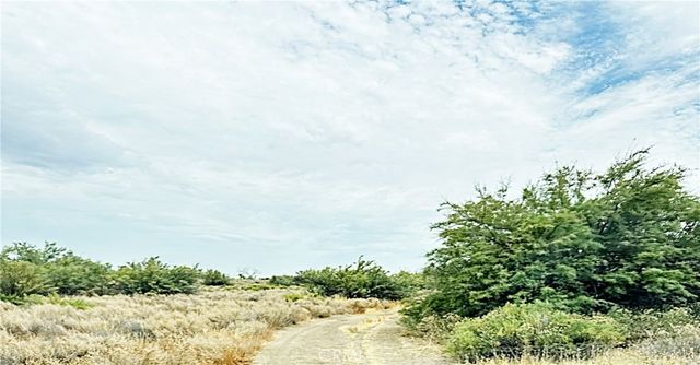 15 Kern River Canal Road, Buttonwillow