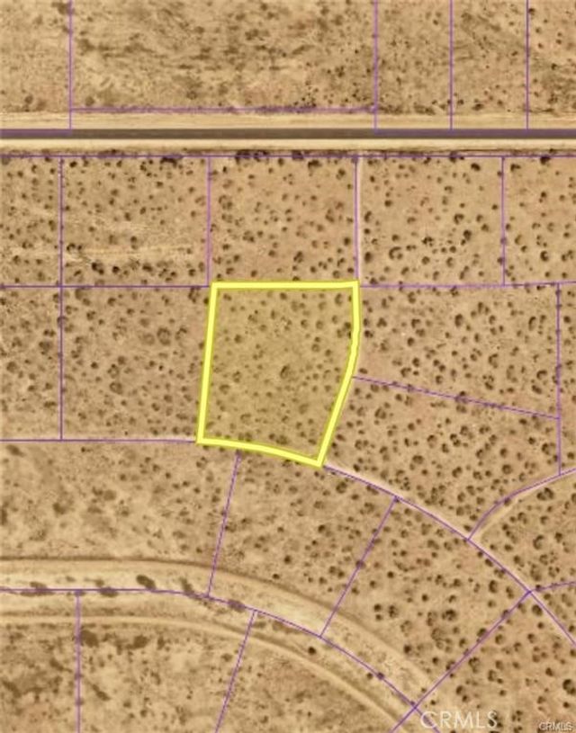Tumbleweed Road, Phelan