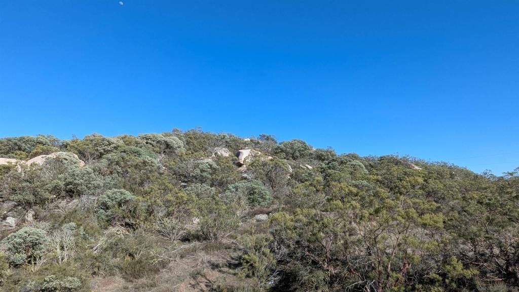 778 Crazy Horse Canyon, Aguanga