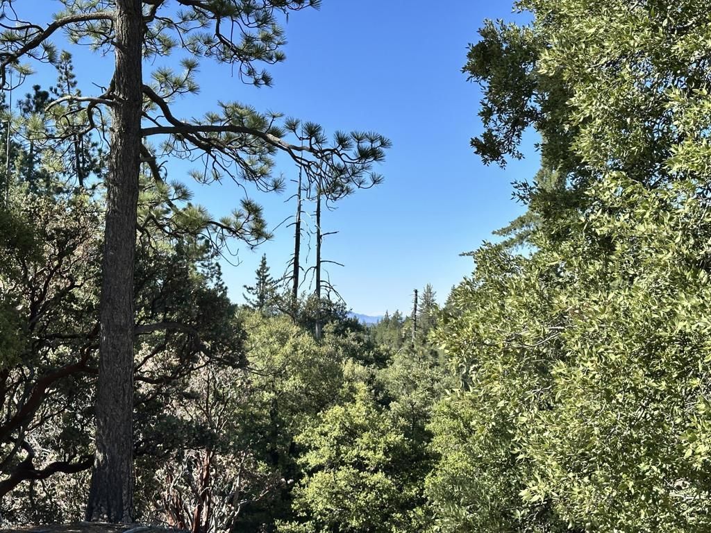 Mountain View Drive, Idyllwild