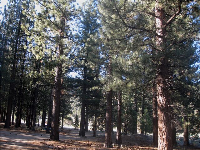 2818 Erwin Ranch Rd, Big Bear City