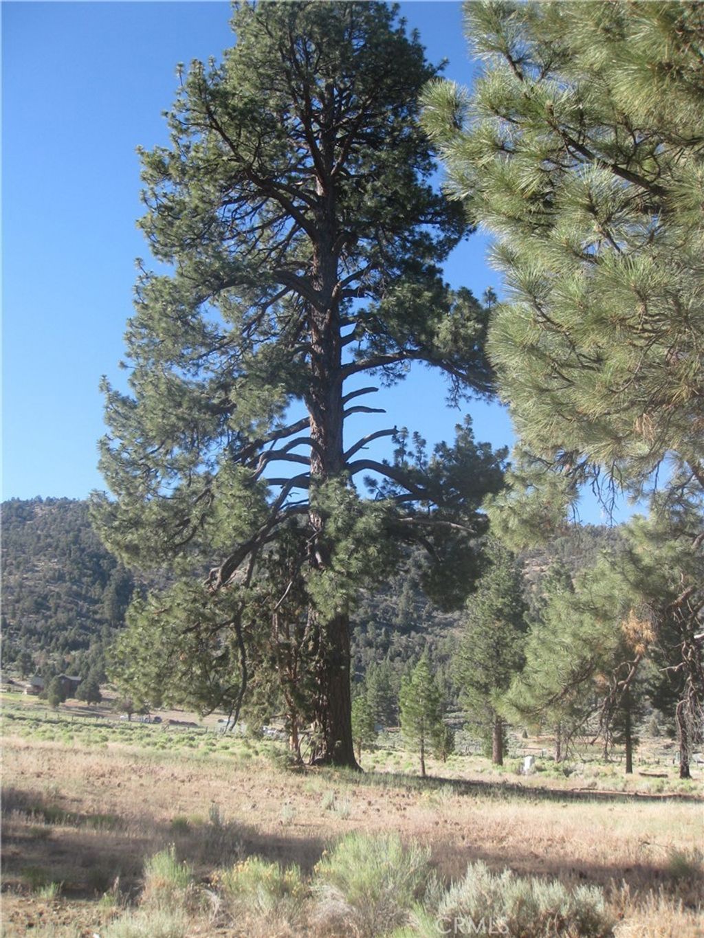 2824 Erwin Ranch Road, Big Bear City
