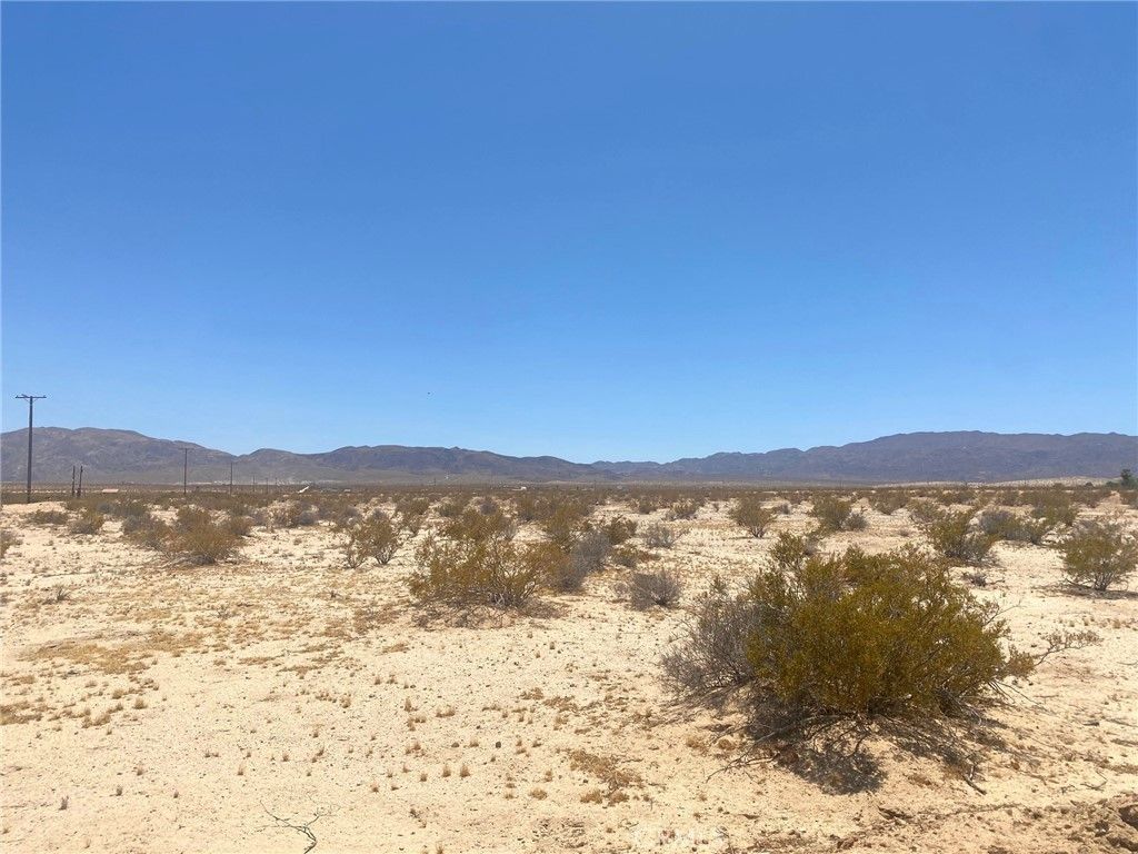 Mojave, 29 Palms