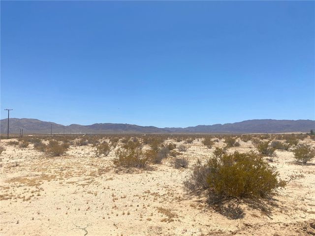 Mojave, 29 Palms