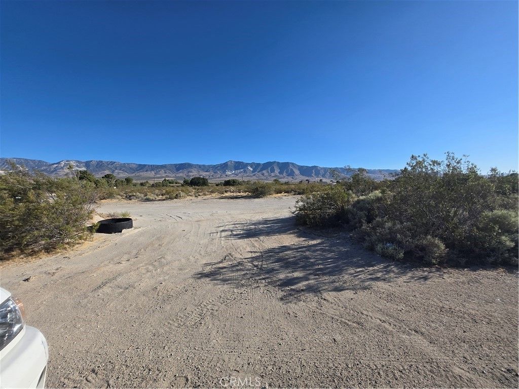 Custer, Lucerne Valley