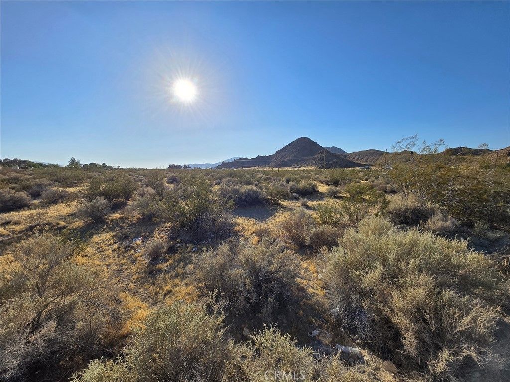 Custer, Lucerne Valley
