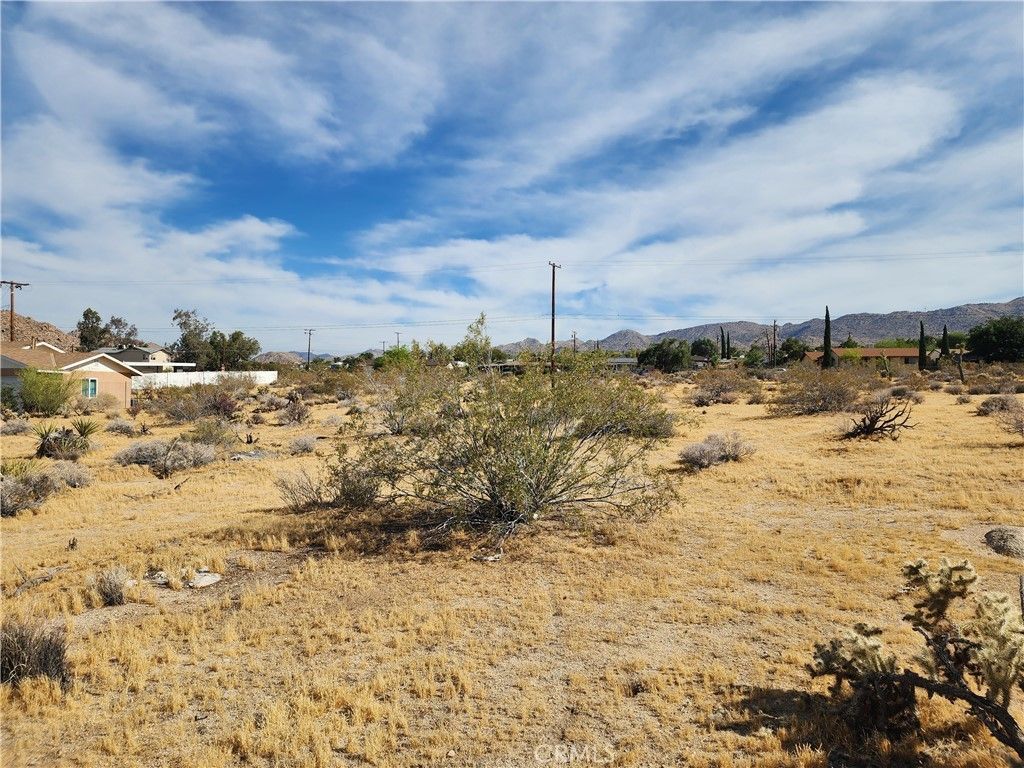 61665 Division, Joshua Tree
