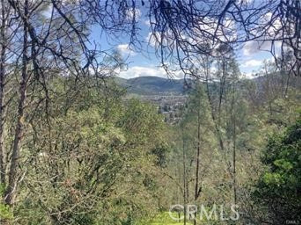 12225 Mount View Drive, Clearlake Oaks