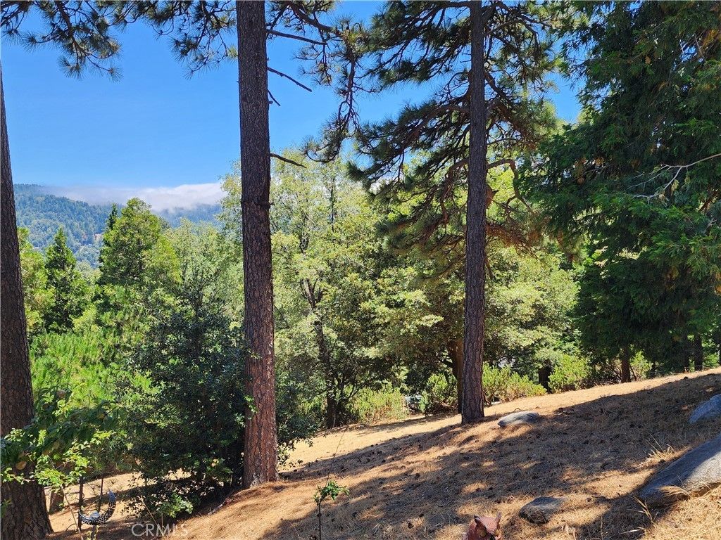 315 Weisshorn Drive, Crestline