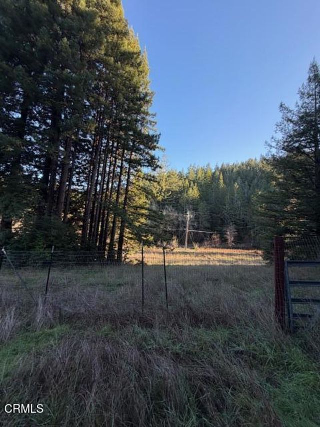 7800 Flynn Creek Road, Comptche