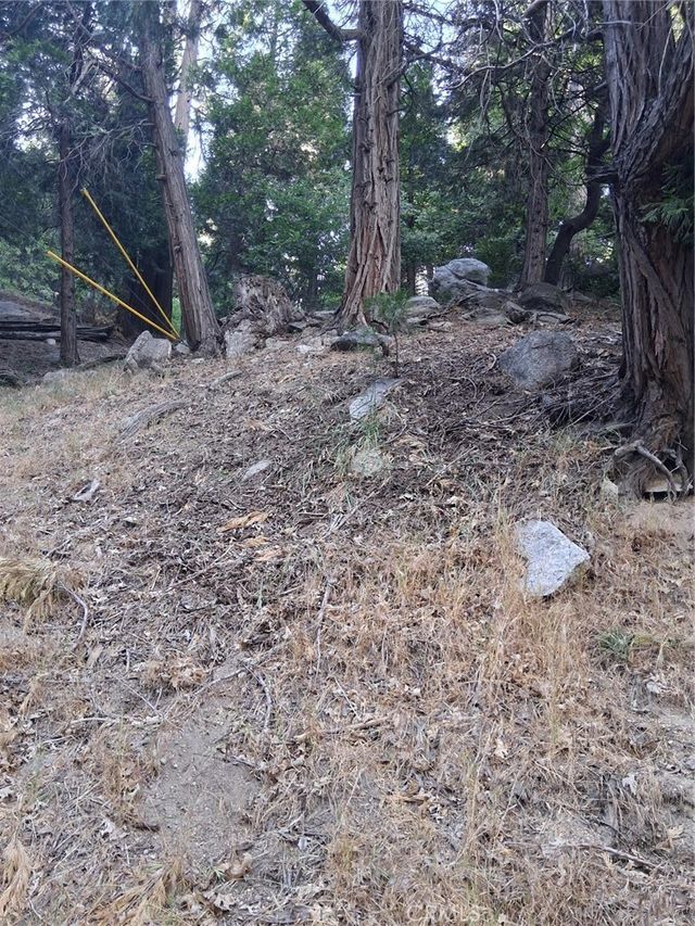 6 Finhaut Drive, Crestline