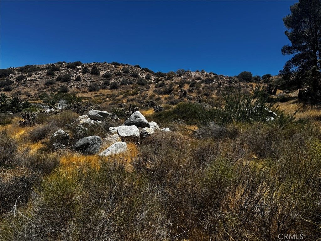 54025 Ridge, Yucca Valley