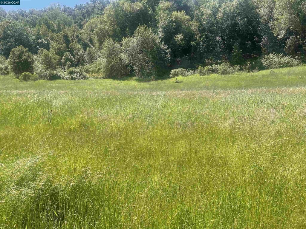 1180 Bear Creek Rd, Martinez