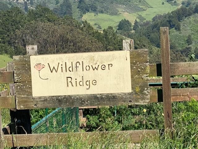 2851 Tunitas Creek Road, Half Moon Bay