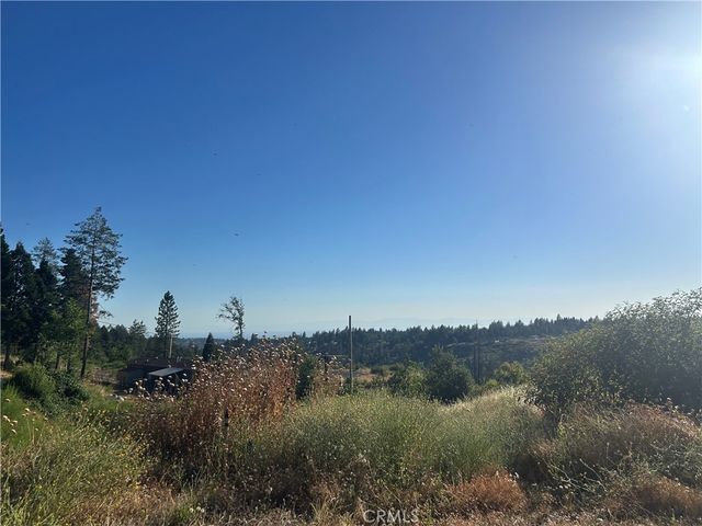 13753 Sugar Pine, Magalia