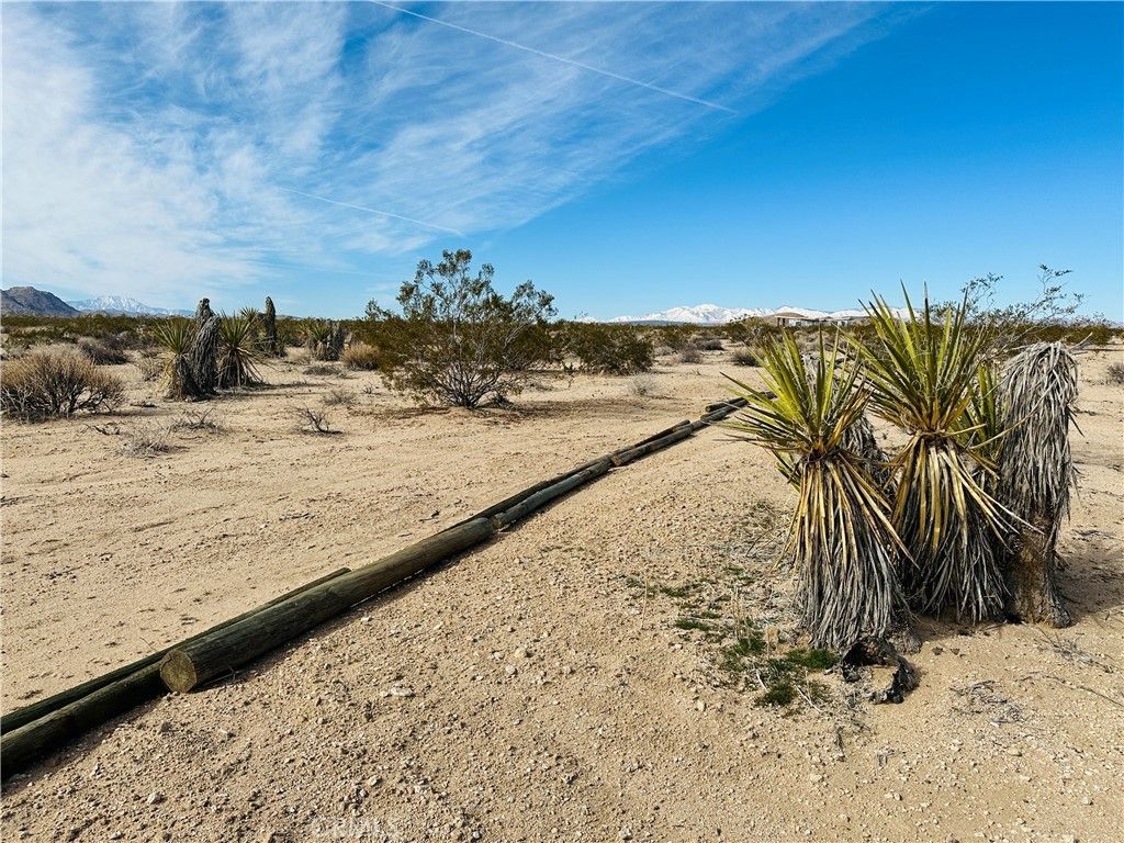 1234 Desert Lily, Joshua Tree