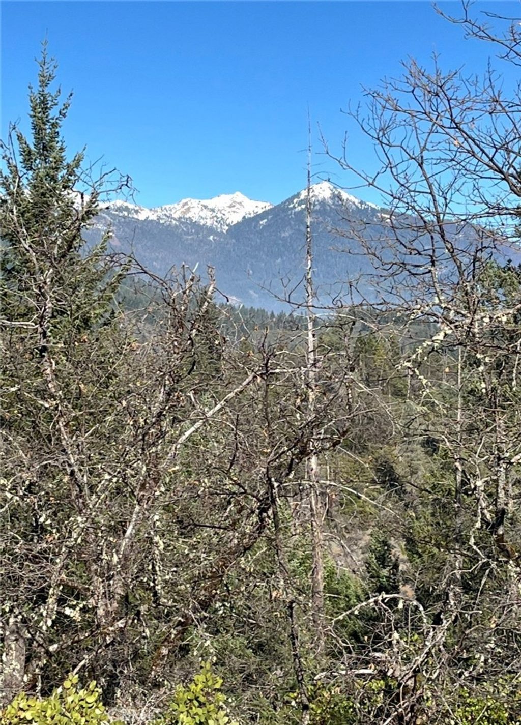 38041 State Highway 3, Weaverville