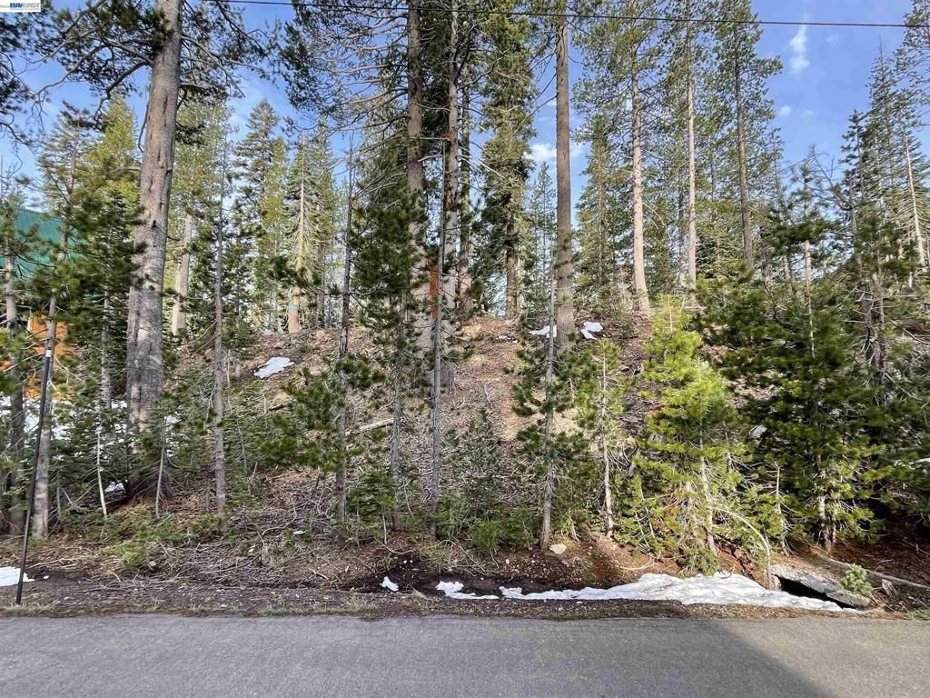 7217 Palisade Road, Soda Springs