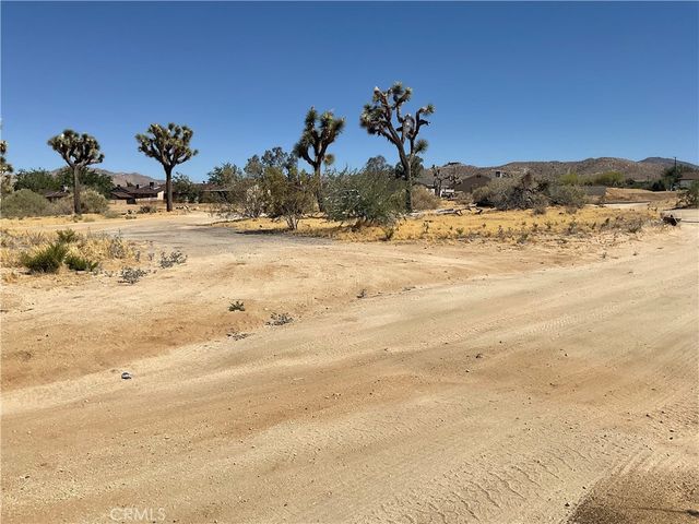 Primrose, Yucca Valley