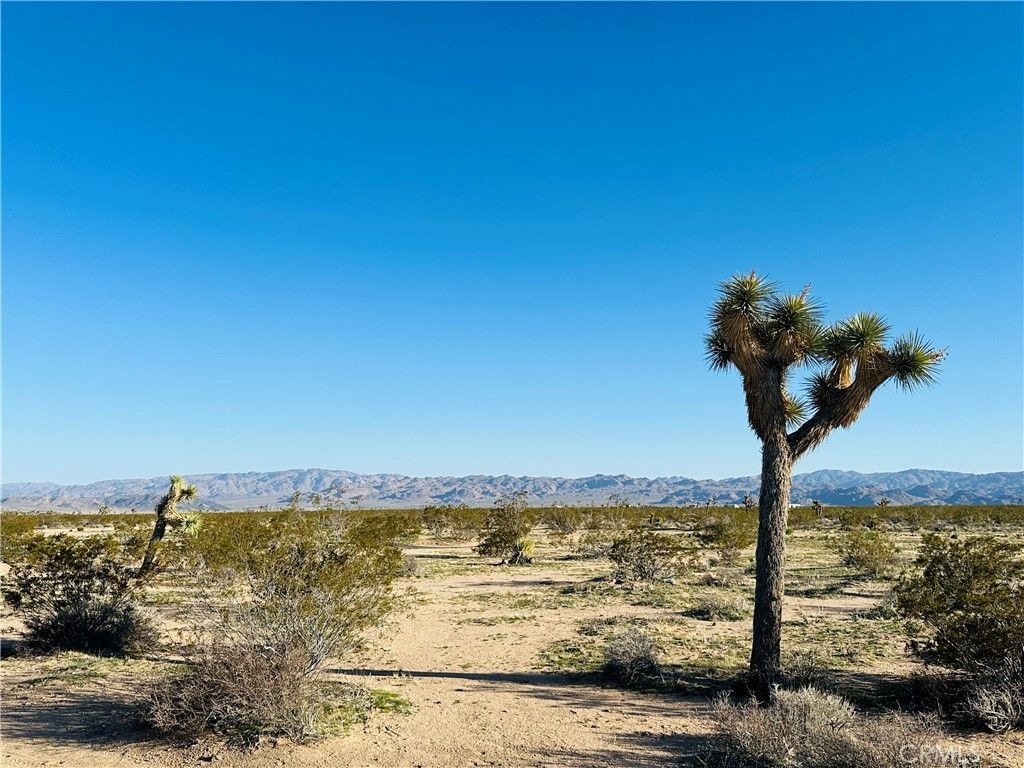 1974 Sunset, Joshua Tree