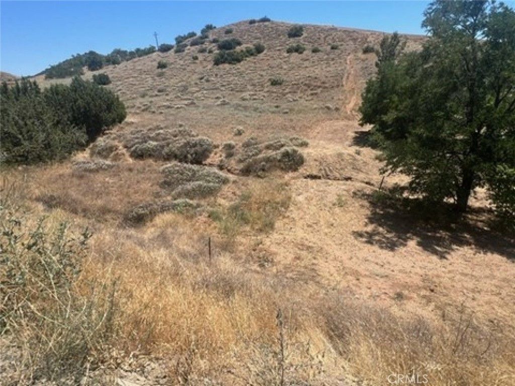 Sierra, Acton