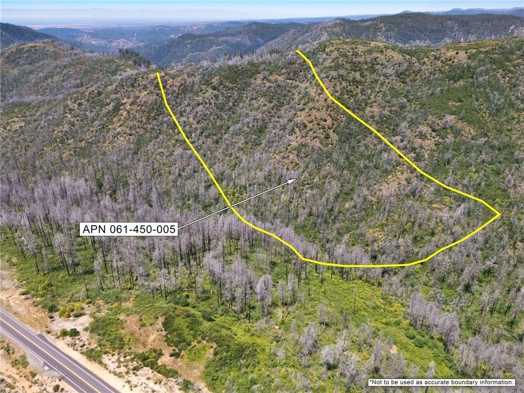 Stephens Ridge Road, Berry Creek