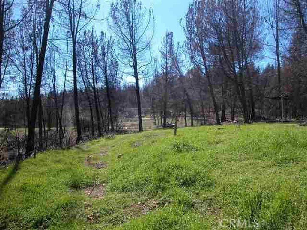 Buchner, Berry Creek