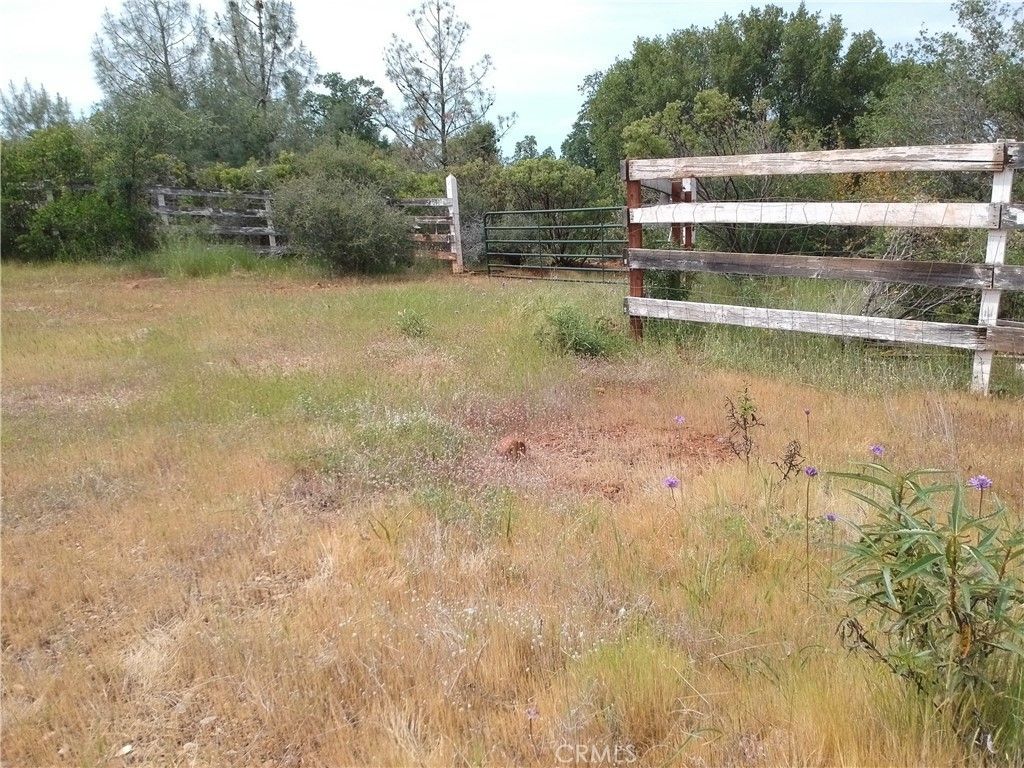 27048 Lack Creek, Shingletown