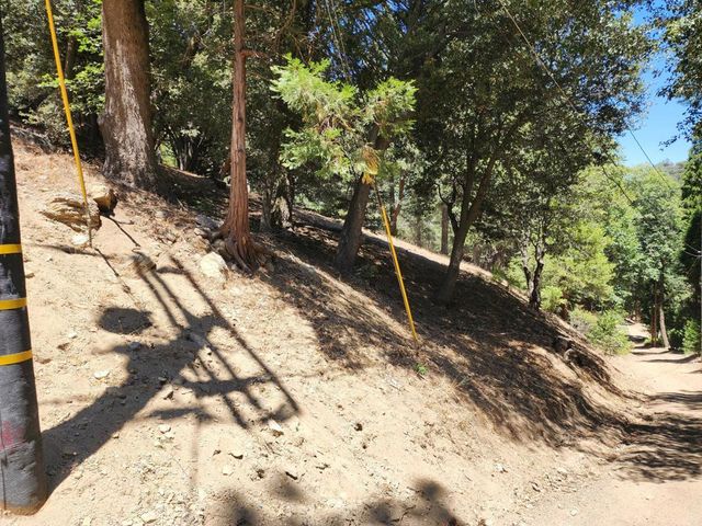 Burnt Mill Canyon Road, Cedarpines Park