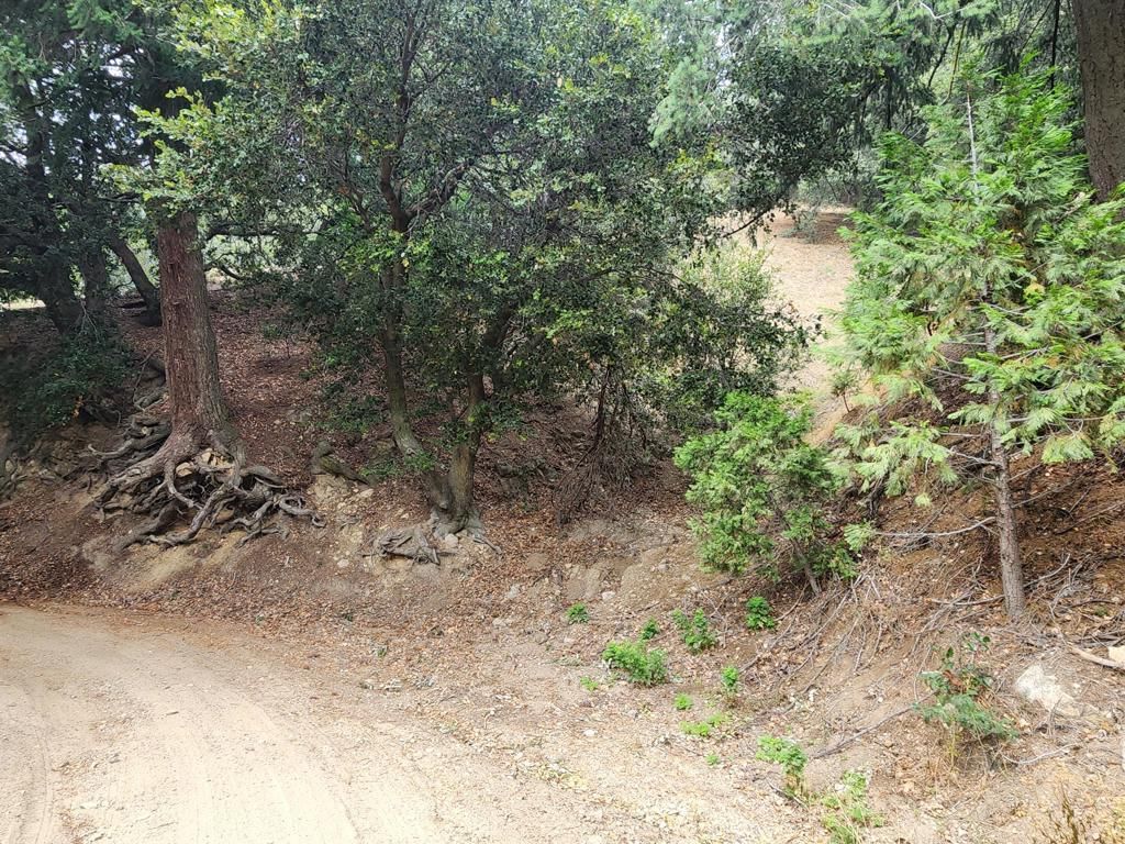 Fern Canyon Road, Crestline