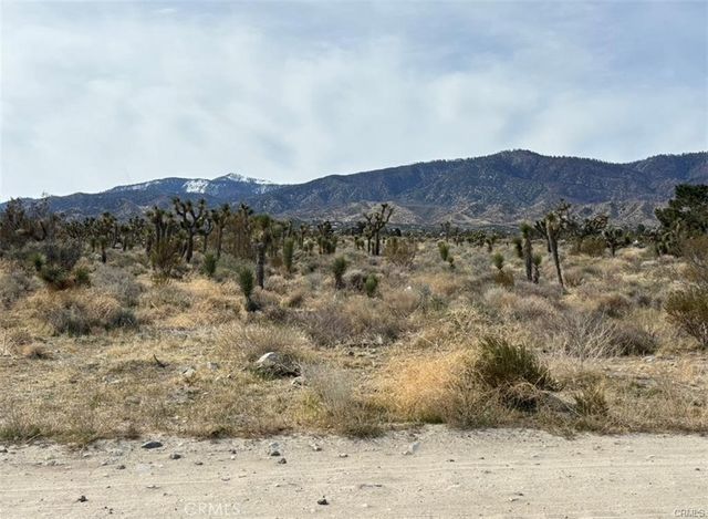 Mono Road, Pinon Hills