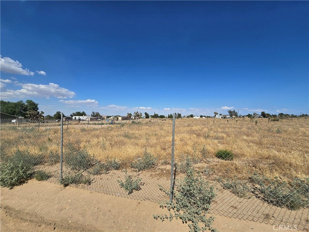 11025 Acanthus, Phelan