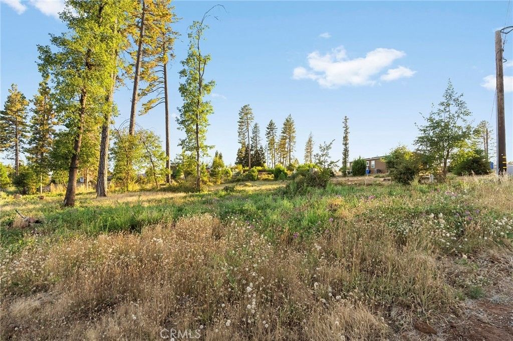 6503 Moss Lane, Paradise