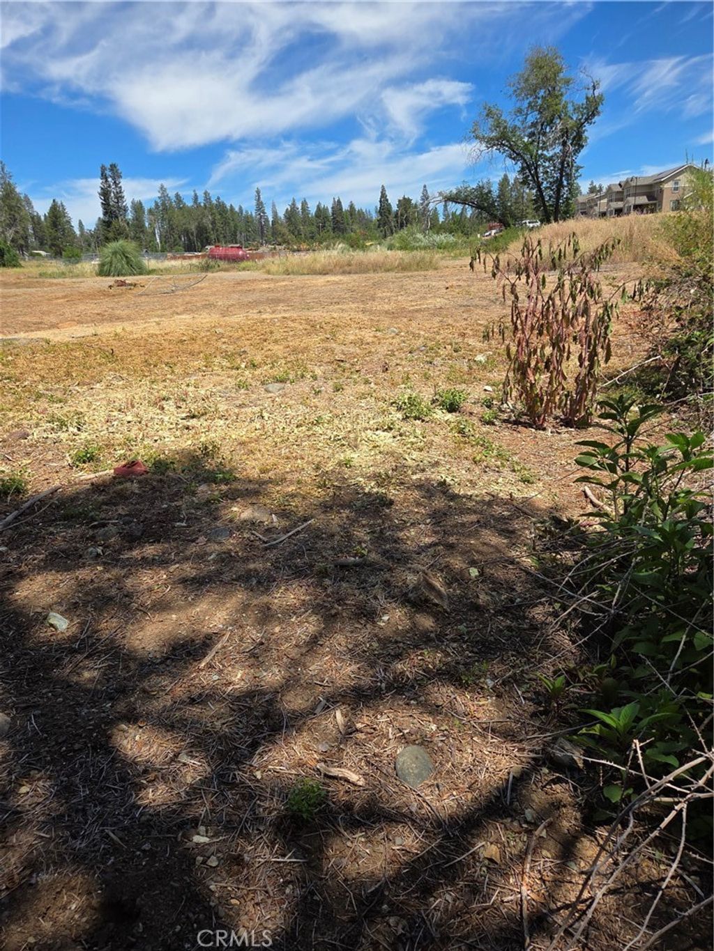 1572 Adams Road, Paradise