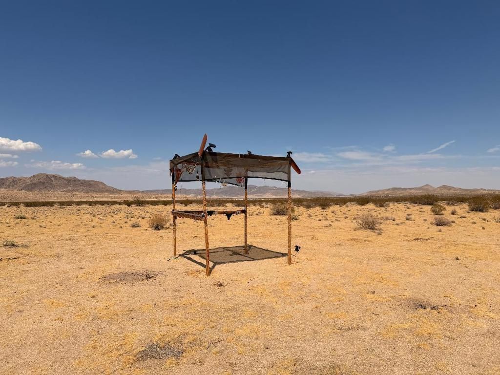 5 Brody, Johnson Valley