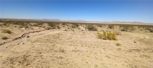 N Joshua Tree Road, Johnson Valley