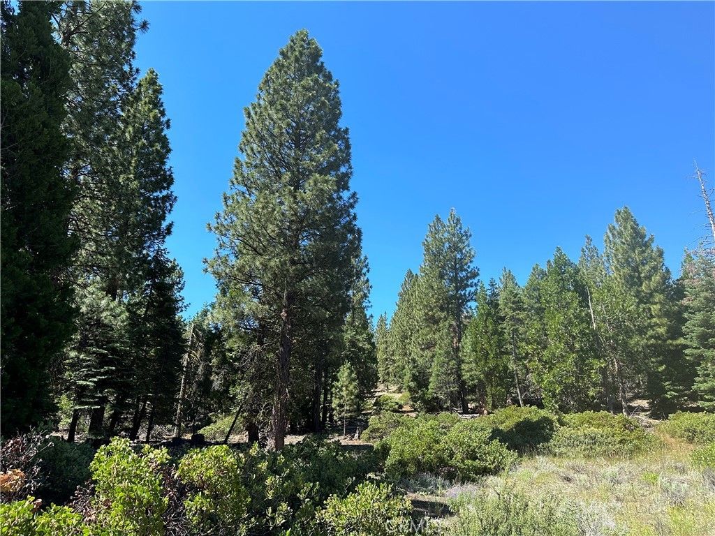 1 Canyon Creek Rd, California Pines