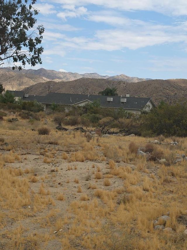 Mesquite, Morongo Valley