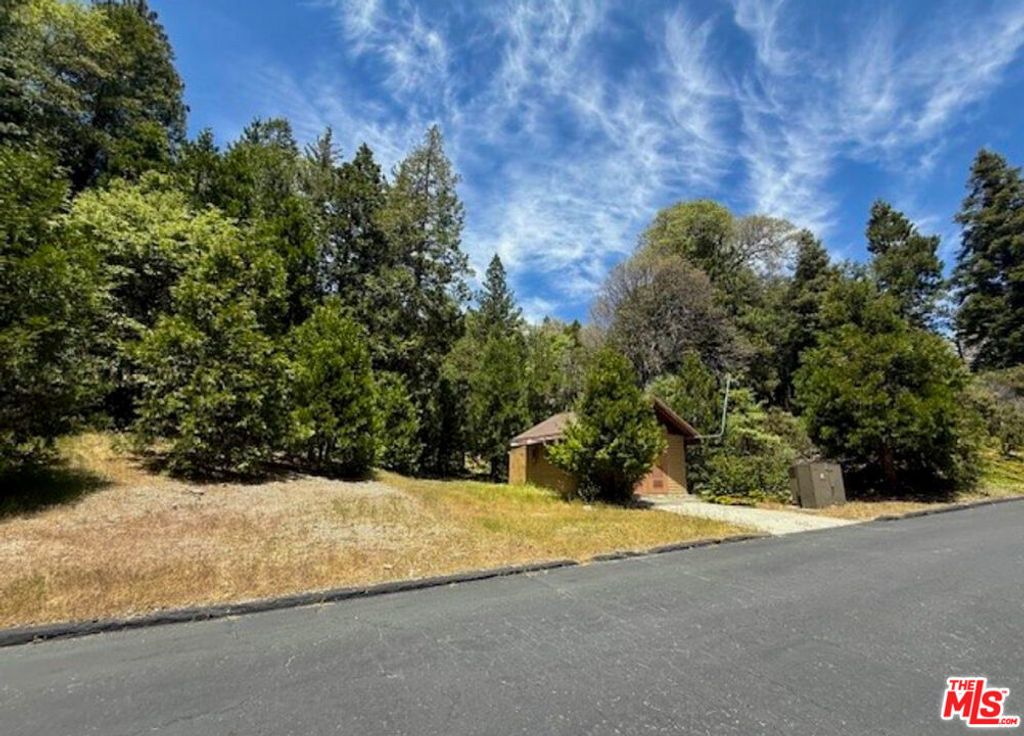 246 Cedar Ridge Drive, Lake Arrowhead