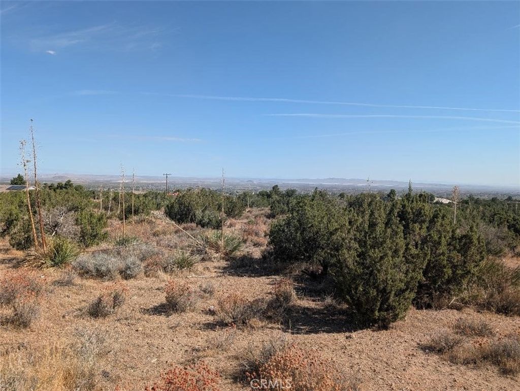12 Tamarack, Pinon Hills