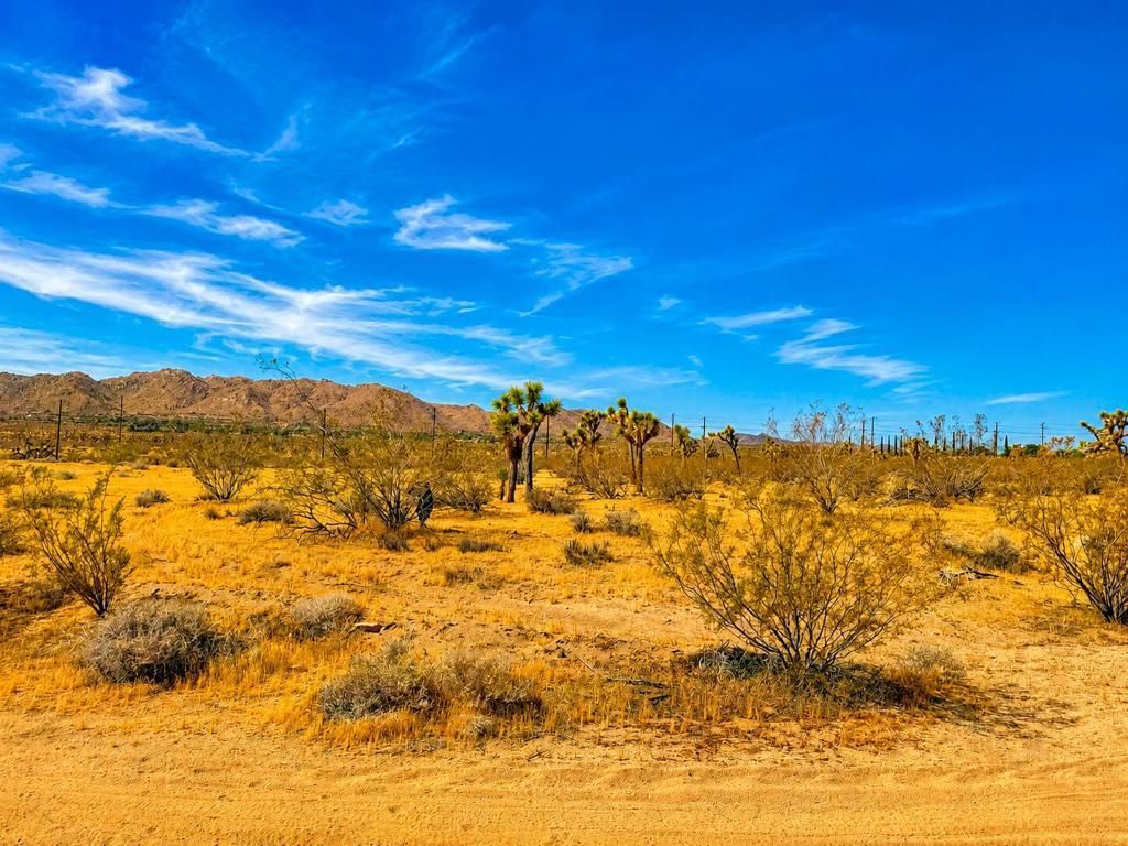 Rockwood Road, Joshua Tree