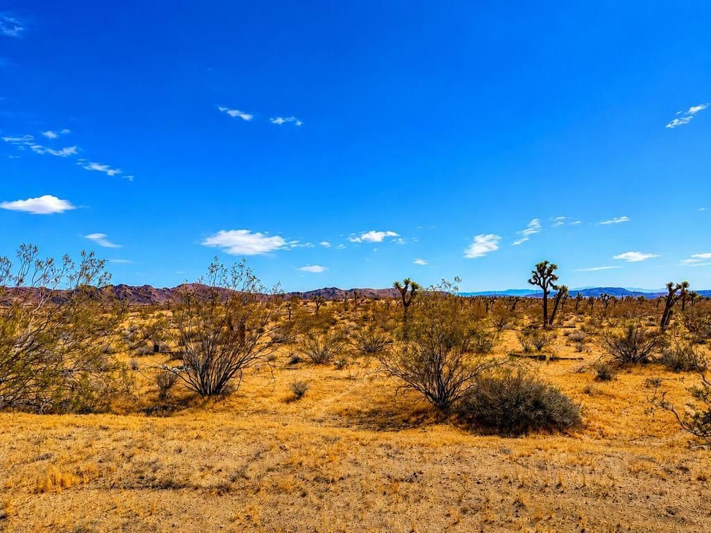 Rockwood Road, Joshua Tree