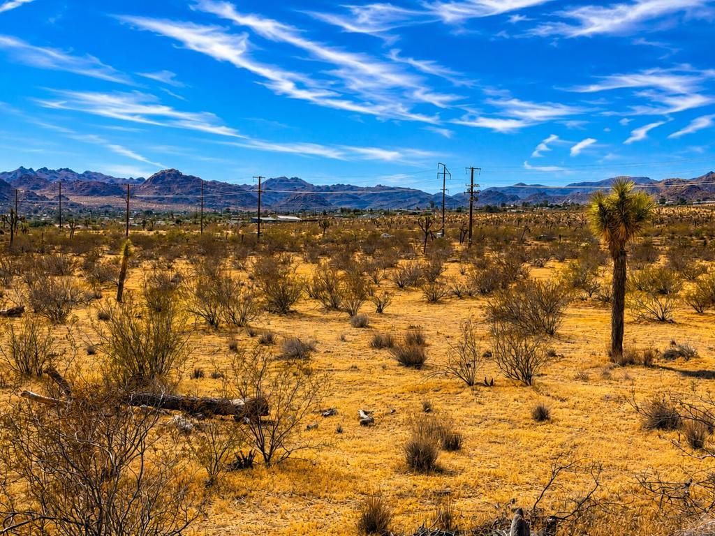 Rockwood Road, Joshua Tree