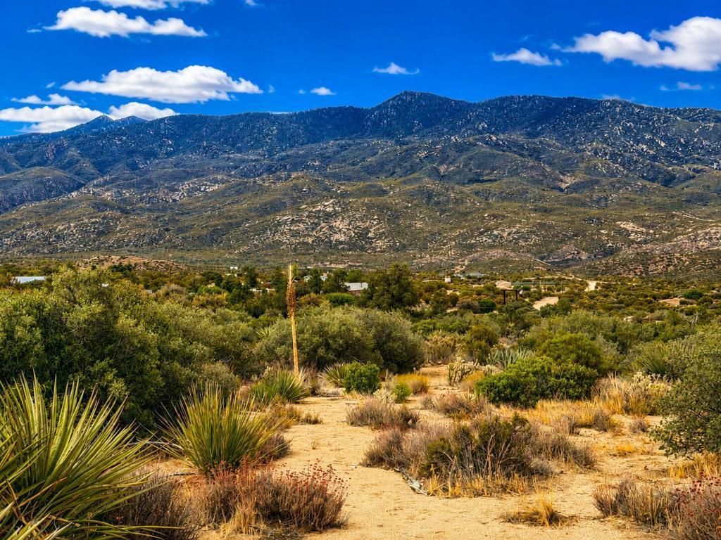214 Chalet Drive, Mountain Center