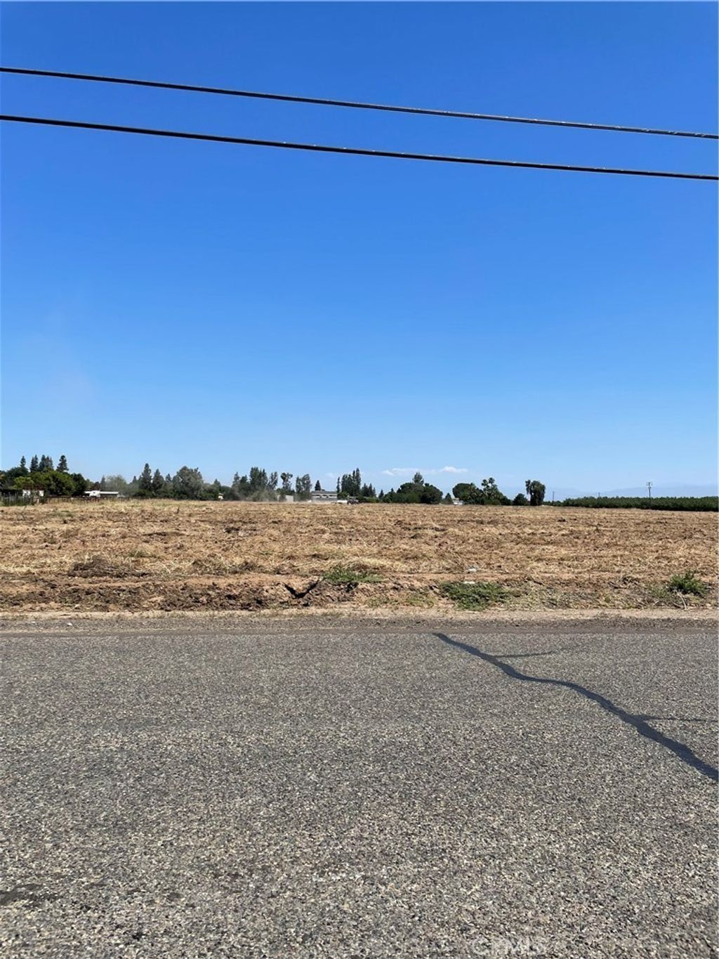 Olive, Fresno