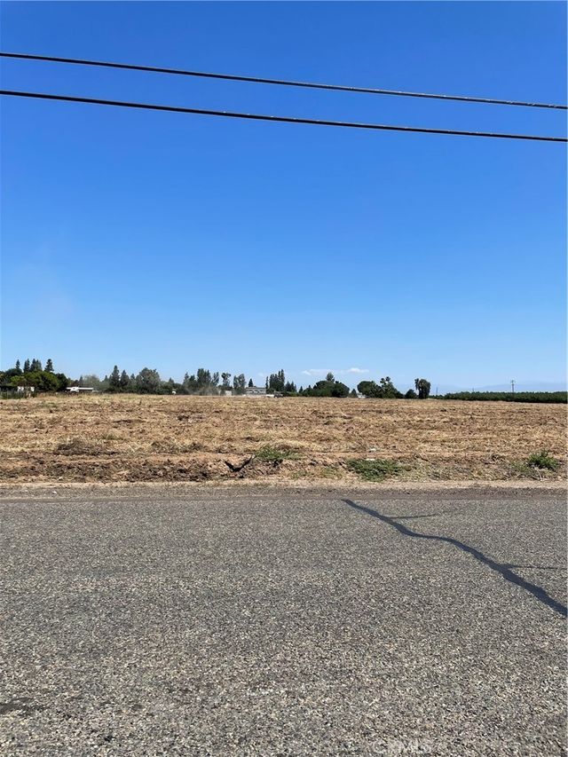Olive, Fresno