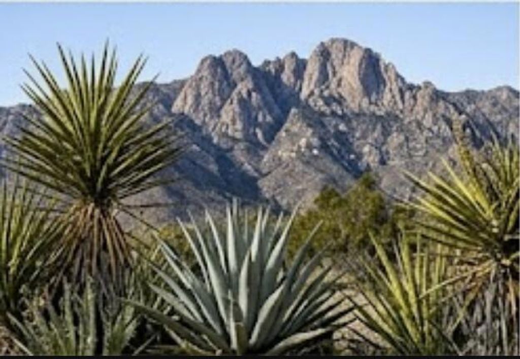 63330 Jeraboa Road, Mountain Center
