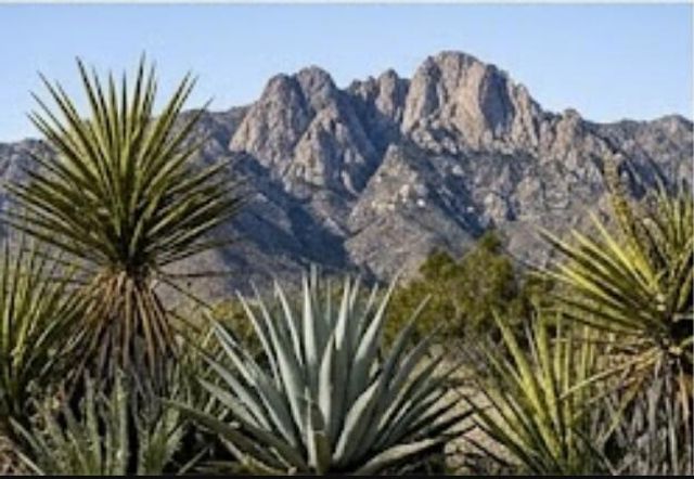 63330 Jeraboa Road, Mountain Center