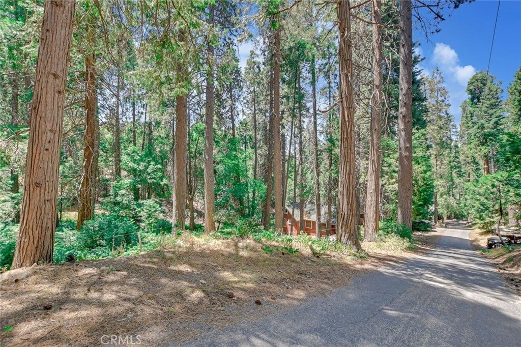 590 Electra Drive, Crestline